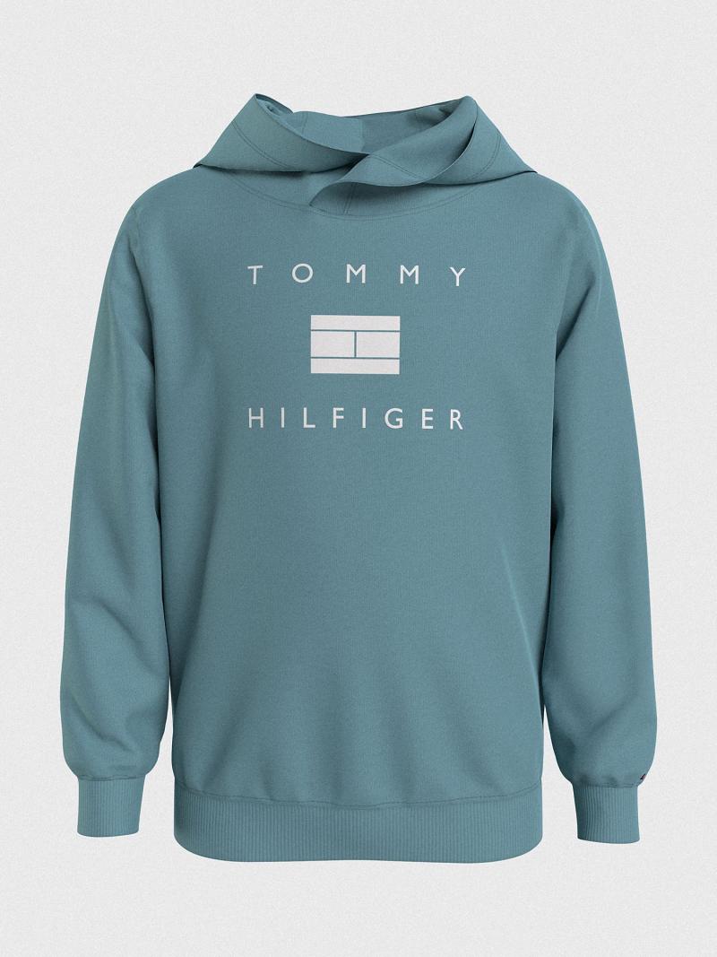 Fiú Tommy Hilfiger Hilfiger Hoodies Aqua | HU 2106VRW